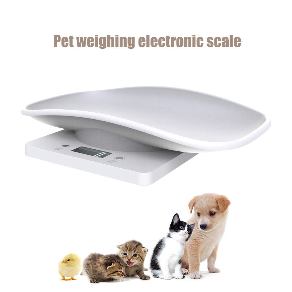 Mini Digital Scale Electronic LCD High Precision Gram Pet Weighing Scale