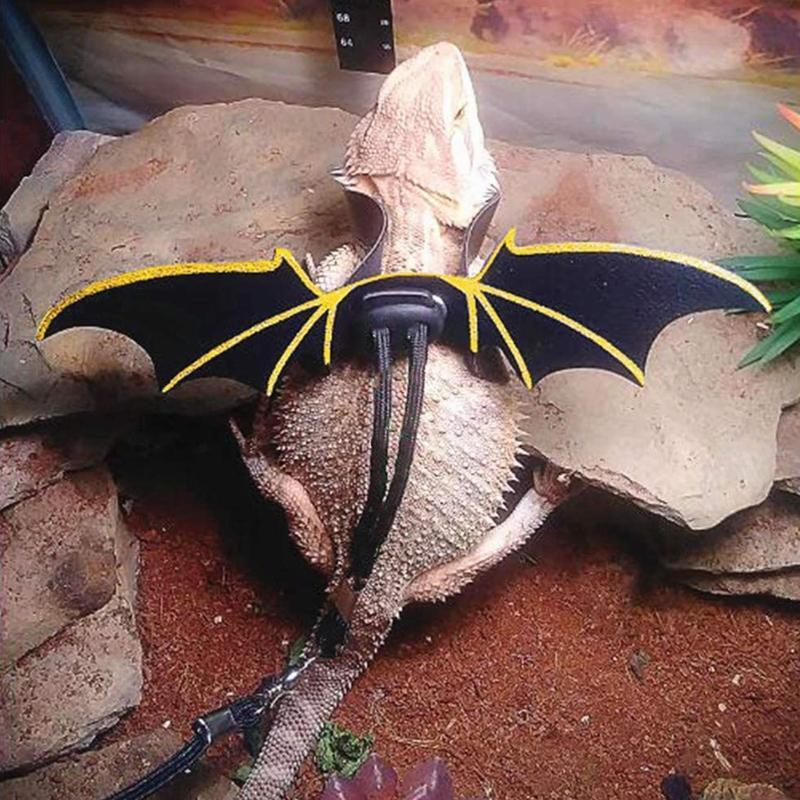 Adjustable Bearded Dragon Harness Lizard Leash with Cool PU Leather Wing