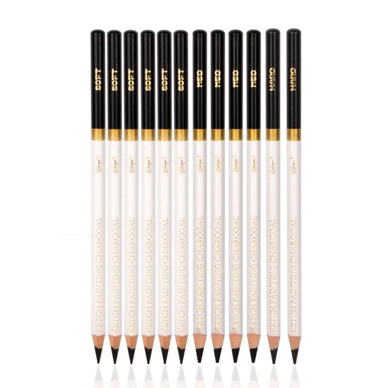 12 Pieces Professional Sketch Pencils Charcoal Pencil for Beginner  Art Painting