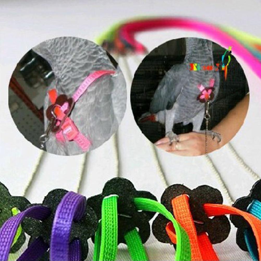 Bird Parrot Adjustable Harness & Leash Anti-bite Multicolor Light Soft