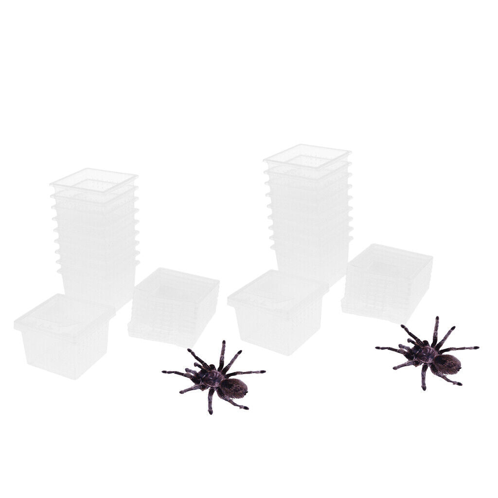 20 Pcs Insect Reptile Spider Terrariums Breeding Box Hatching Container