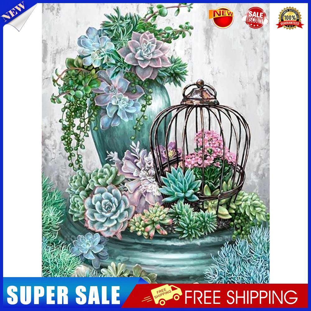 Painting By Numbers Kit DIY Succulent Plants Canvas Oil Art Picture Craft