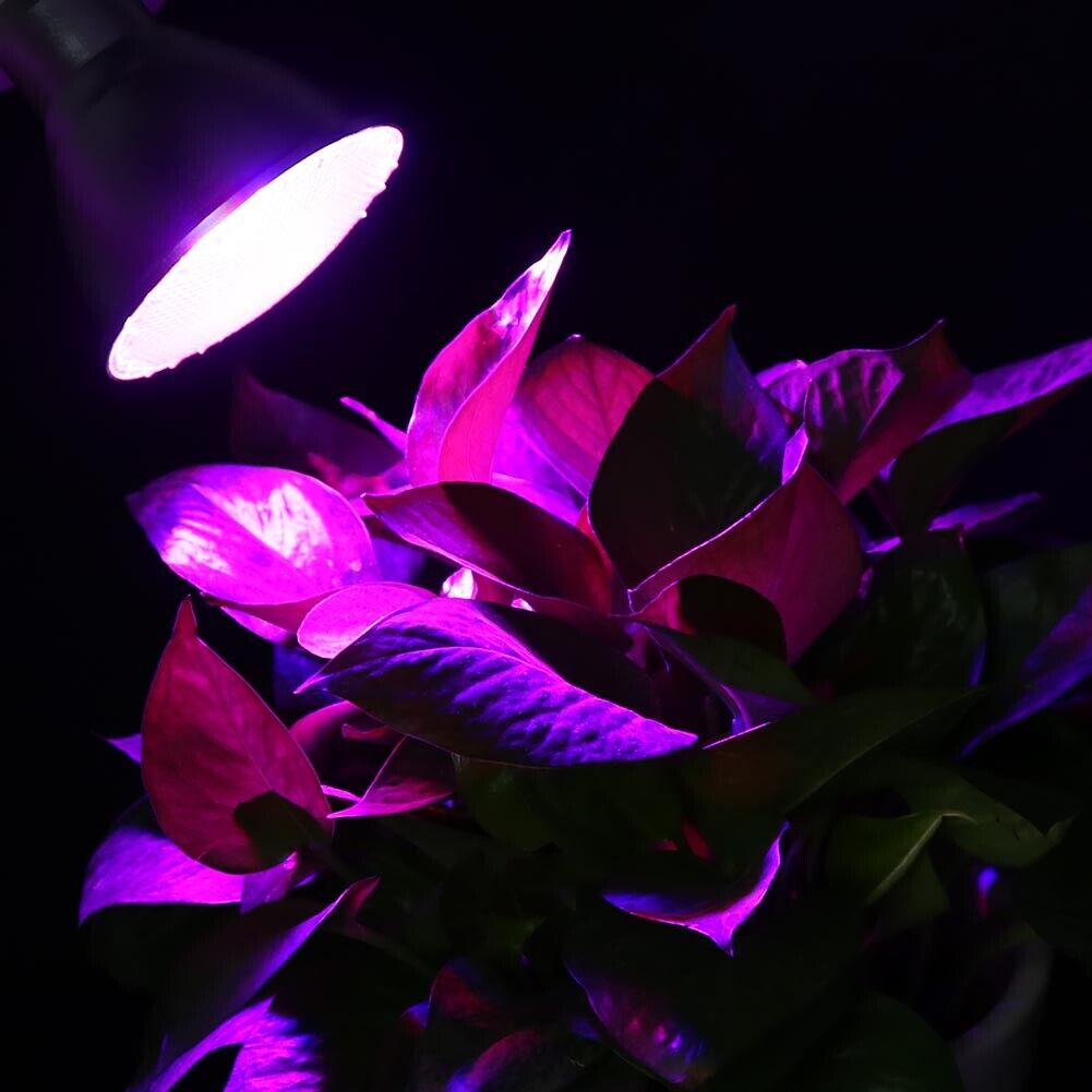 E27 Par38 21W LED Flower Plants Growth Light Bulb(5pcs Red+2pcs Blue)-19776