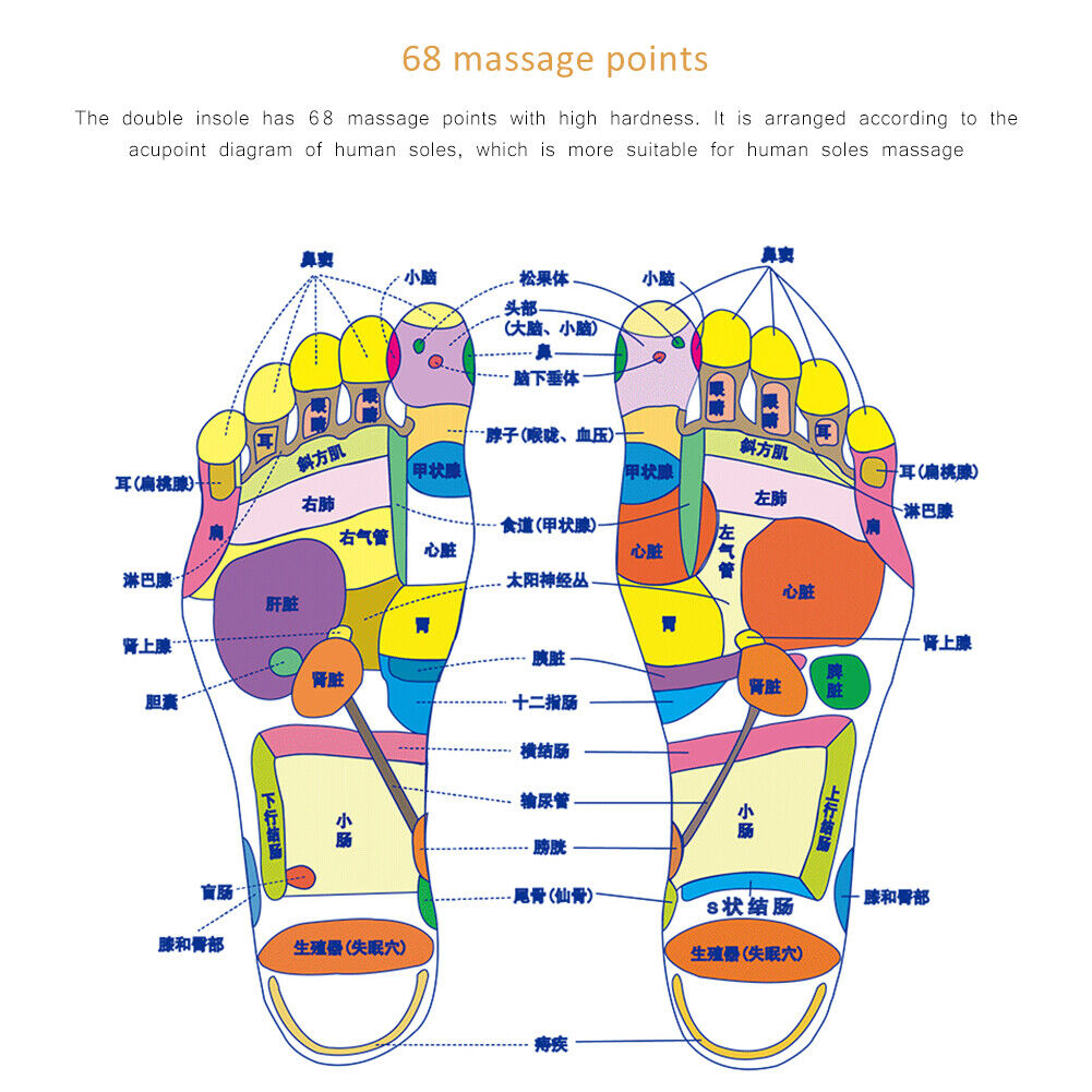 1 Pair Magnetic Massage Insoles Foot Acupuncture Point Therapy Cushion (L)