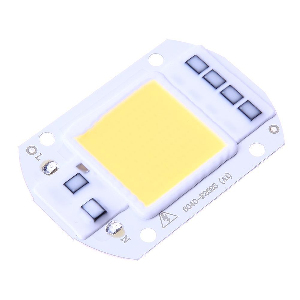 50W LEDs Floodlights COB Chip 220V Input Integrated IC Driver(White)