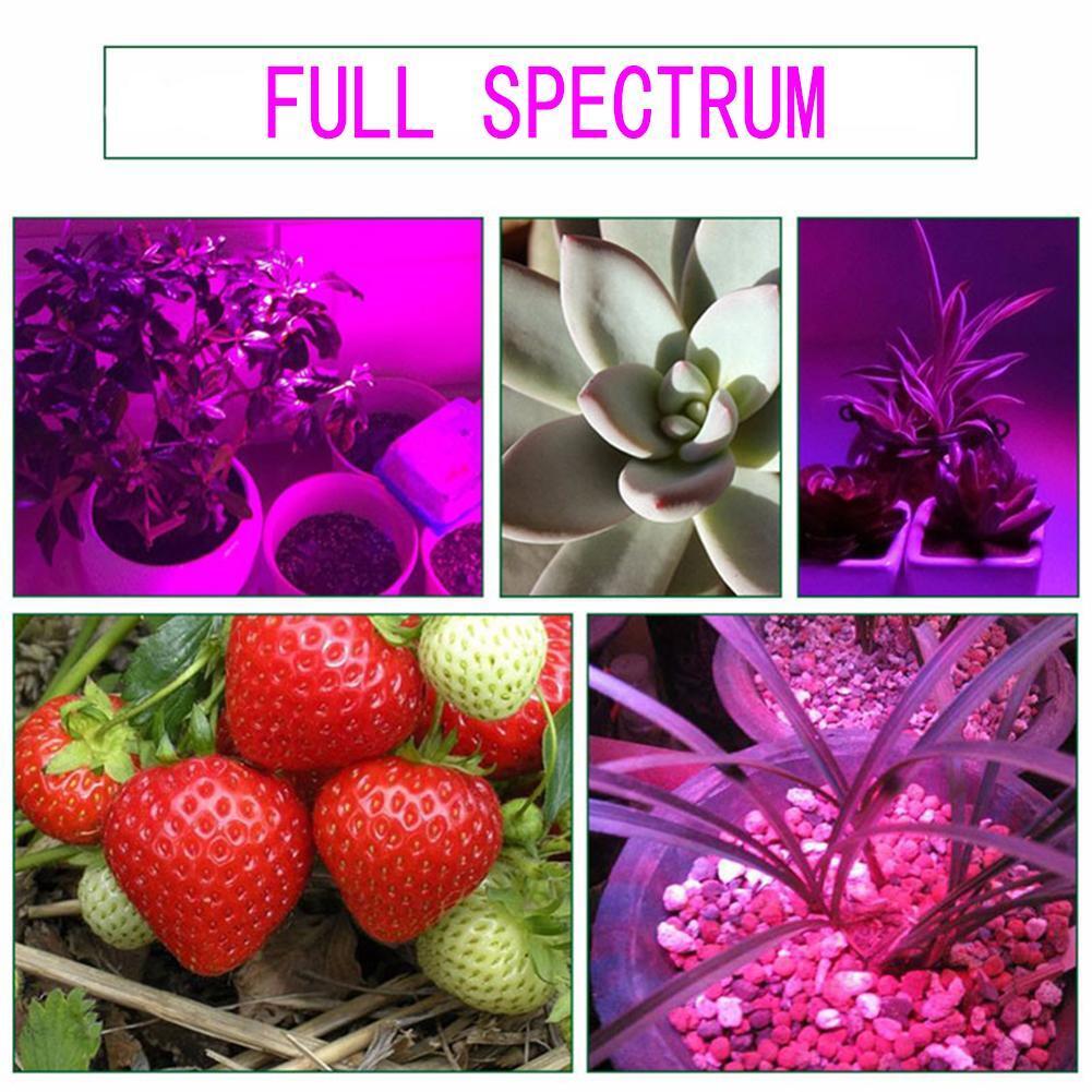 50W Full Spectrum IP67 Waterproof Plant Flower COB LED Grow Light(90-130V)