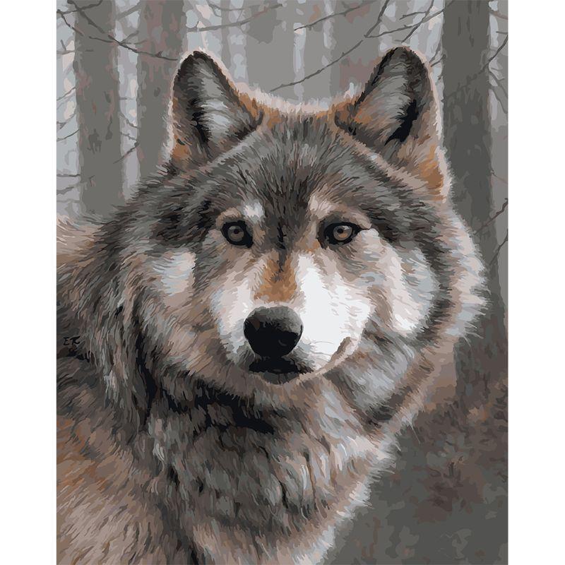 Wolf Digital Oil Painting By Numbers Canvas Wall Picture DIY Hand Painted Decor