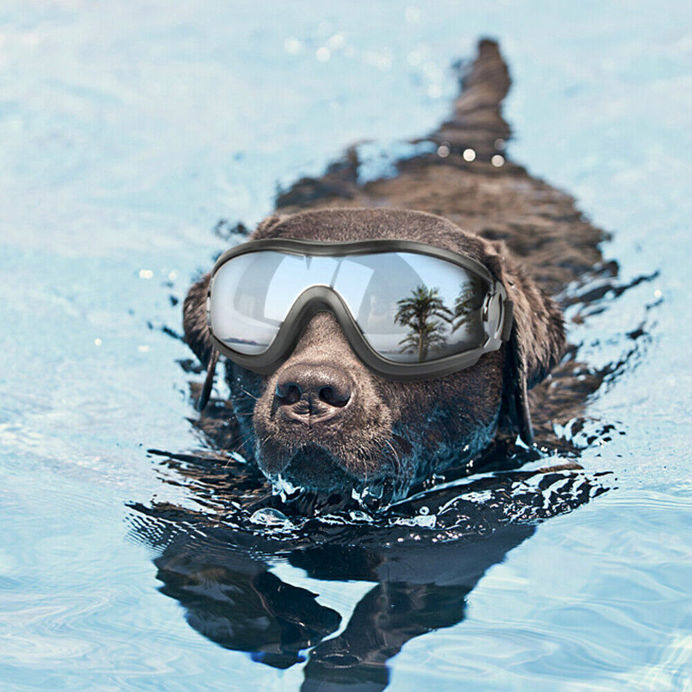 Pet Dog Sunglasses Fashion Cool Foldable Puppy Glasses Waterproof Goggles