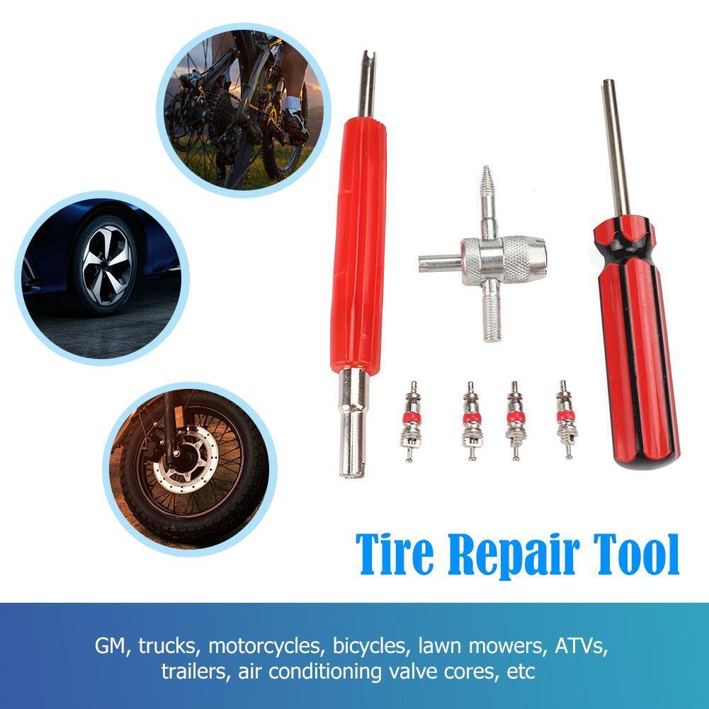 4pcs Schrader Valve Cores with Dual Single Head Removers+4-Way Valve Tool