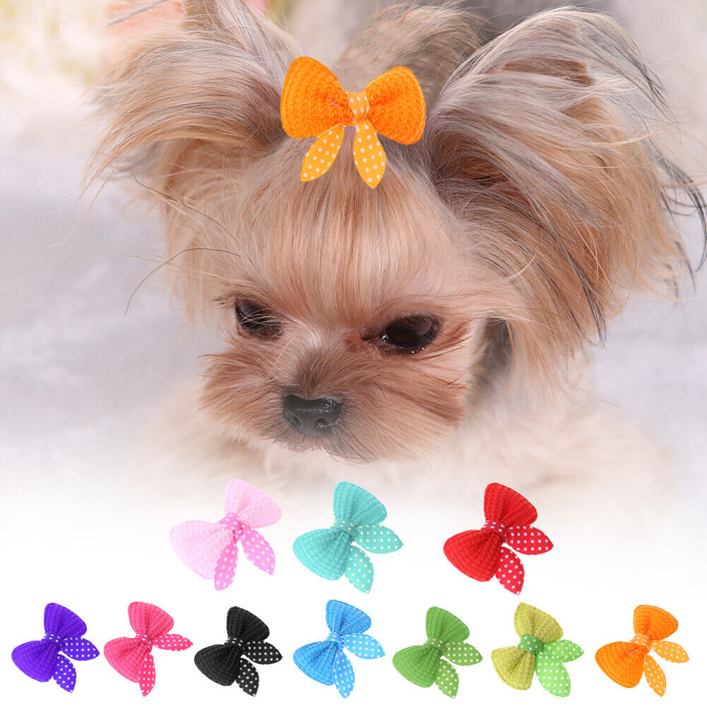 10pcs Cute Pet Dog Cat Beauty Supplies Bows Hairpin Pet Hair Clip Headdress