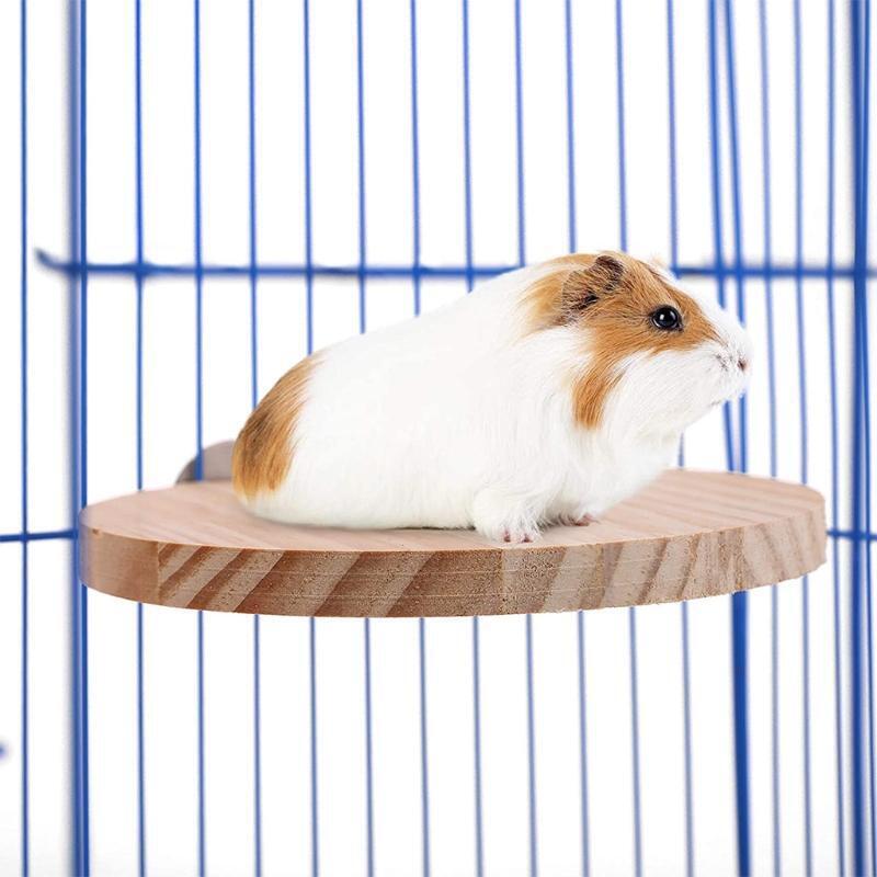 5 Pieces of Natural Wood Stand Platform for Squirrel Gerbil Chinchilla Hamster