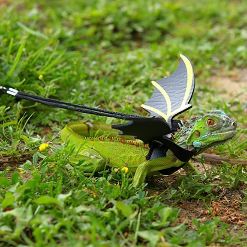 Adjustable Bearded Dragon Harness Lizard Leash with Cool PU Leather Wing