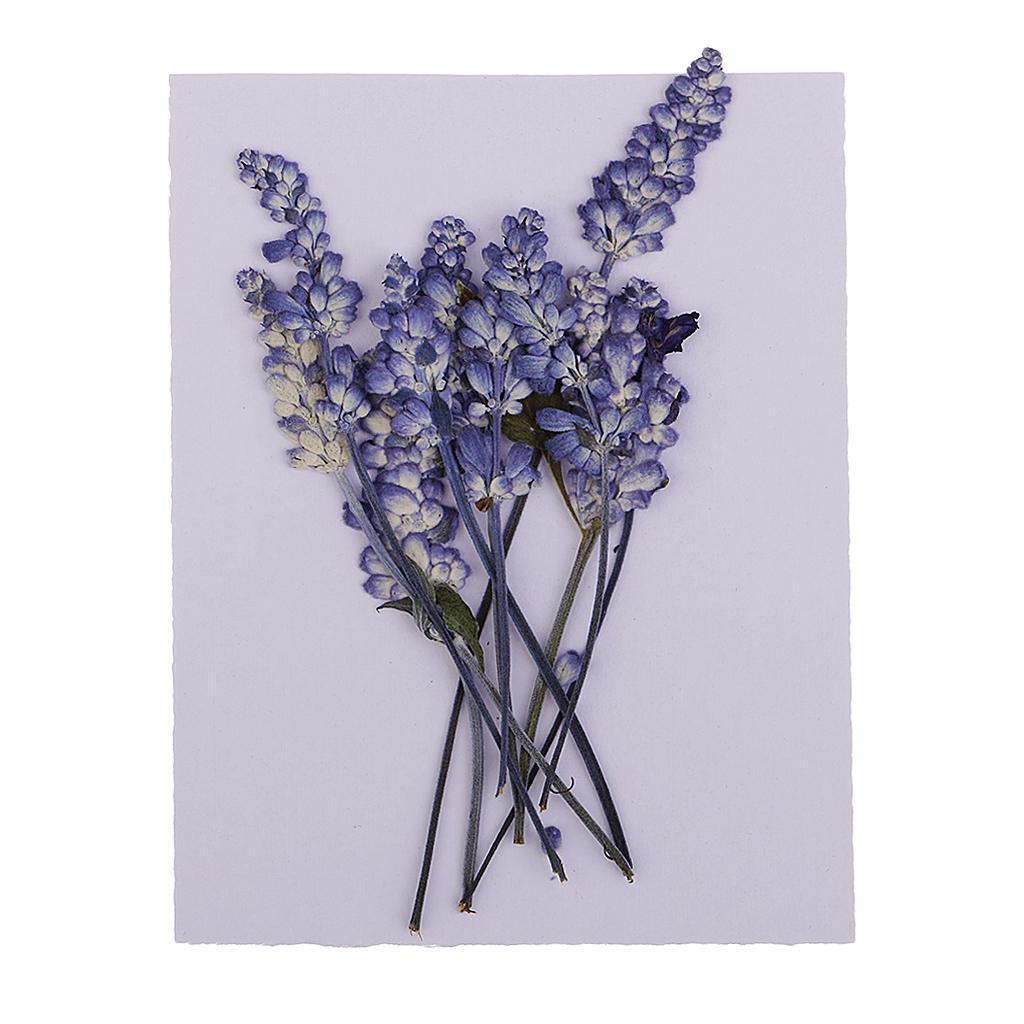 1  Pressed Dried Flowers Charms Paper Art Crafts  Decor