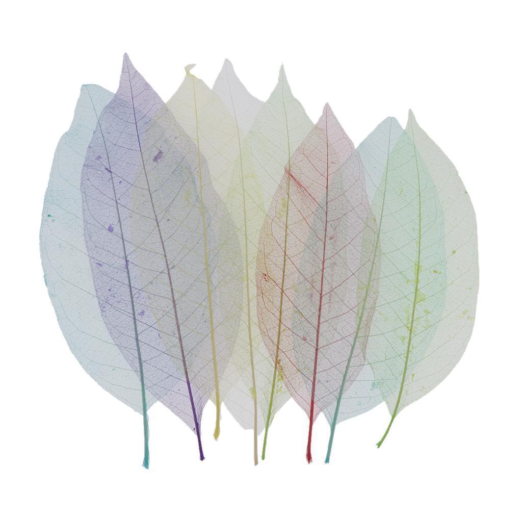 8pcs Natural Dried Skeleton Leaves for Embellishment Cardmaking DIY Crafts