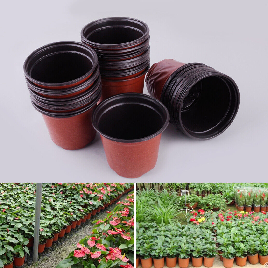 50x Two Colors Plastic Nursery Pots Garden Balcony Flowerpots Plant Container Li