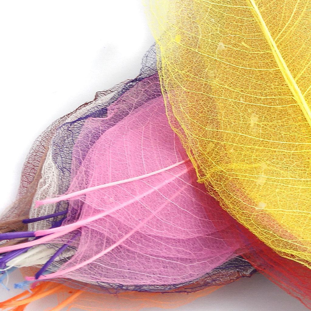 150pcs Natural Magnolia Skeleton Leaves Scrapbooking Mixed Color Decor Gifts