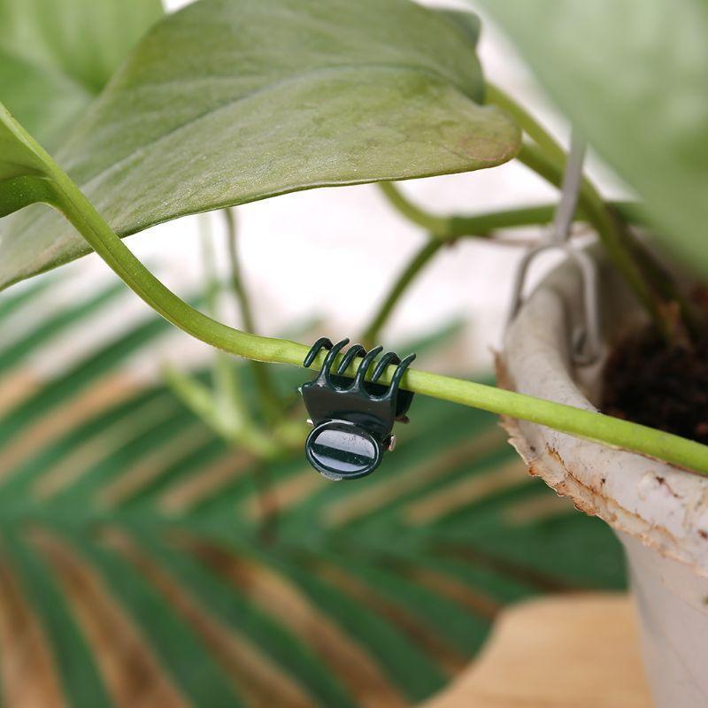 100 PCS Plant Support Clips Garden Clips Flower Orchid Stem Clips for Vine