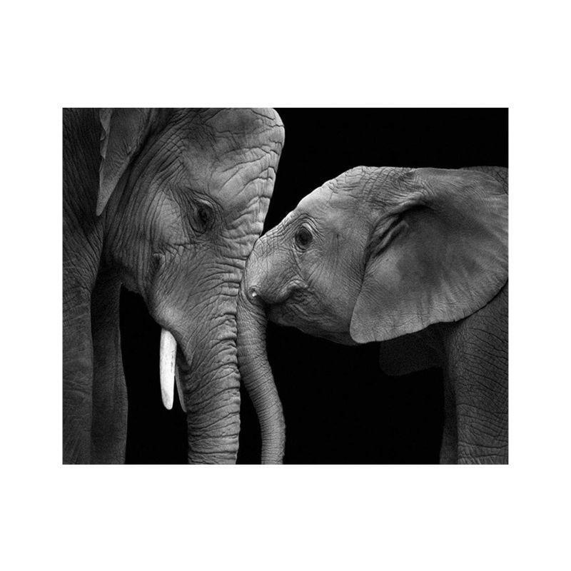 Elephants Frameless DIY Digital Oil Painting By Numbers Canvas Modern Wall Art