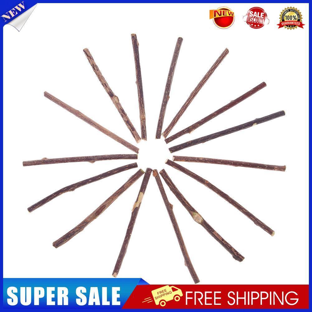 15pcs Natural Fruit Matatabi Cat Snacks Sticks Catnip Pet Cat Molar Rod