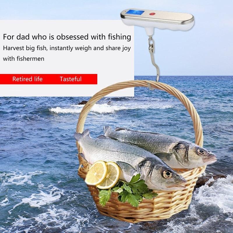 Portable Scale Hook Scale 110lb/50kg Suitcase Scale for Travel Household Outdoor