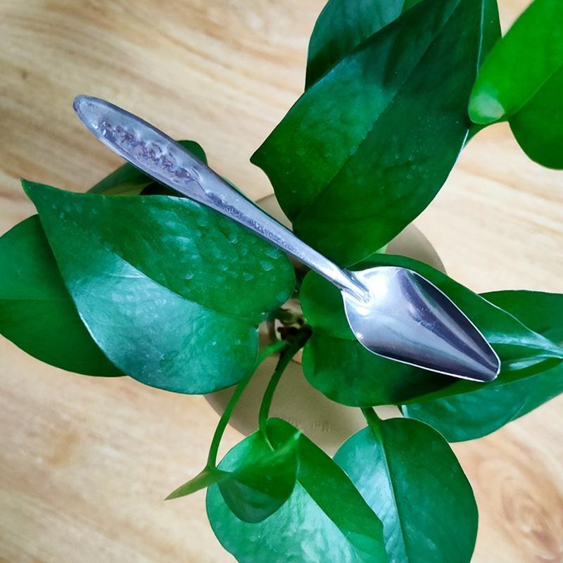 Parrot Feeding Spoon Stainless Steel Feed Scoop Animals Care Tool for Budgie