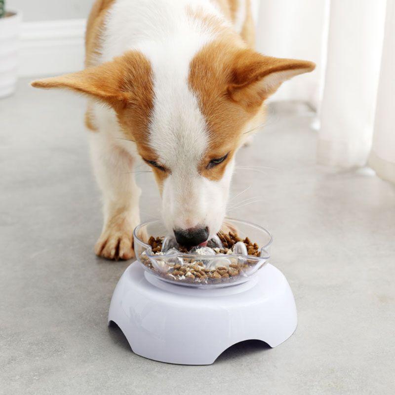 Pet Cat Food Water Bowl Dog Raised 15 Degree Tilt Neck Guard Stand Slow Feeder