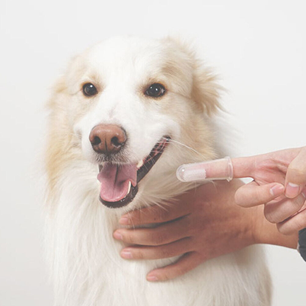 Pet Toothbrush Silicone Puppy Cat Finger Brush Bad Breath Cleaning Tools