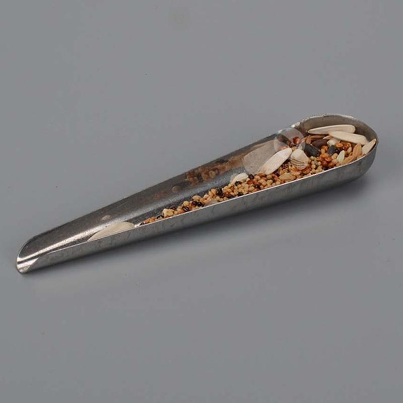 Bird Pointed Seed Dispenser Feeding Spoon Stainless Steel Parrot Feeder Supplies