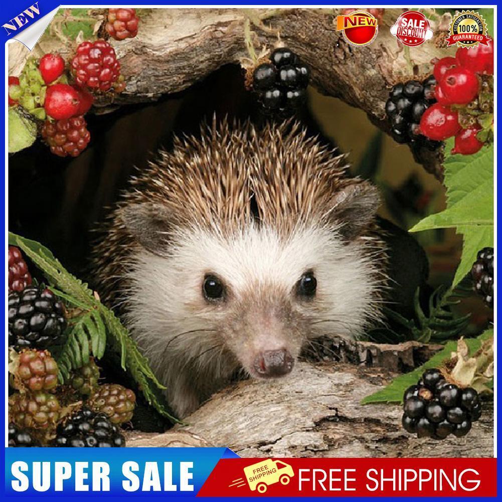 Animal Hedgehog 5D Diamond Painting Embroidery DIY Full Round Drill Picture