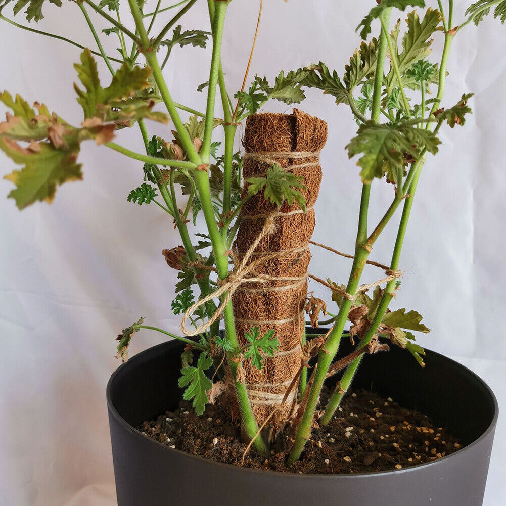 50cm Garden Plant Climbing Pole Coir Moss Stick Coconut Palm Sticks Creeper