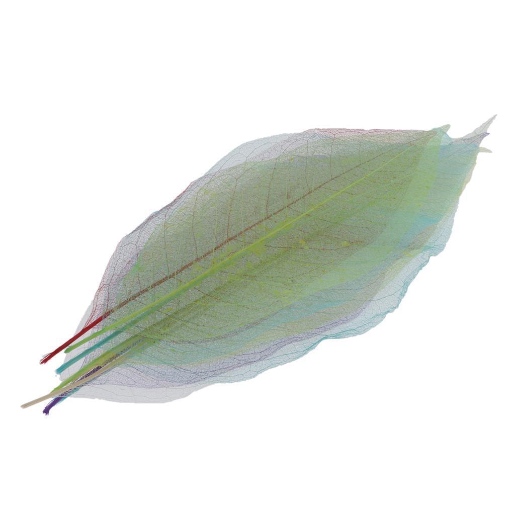 8pcs Natural Dried Skeleton Leaves for Embellishment Cardmaking DIY Crafts