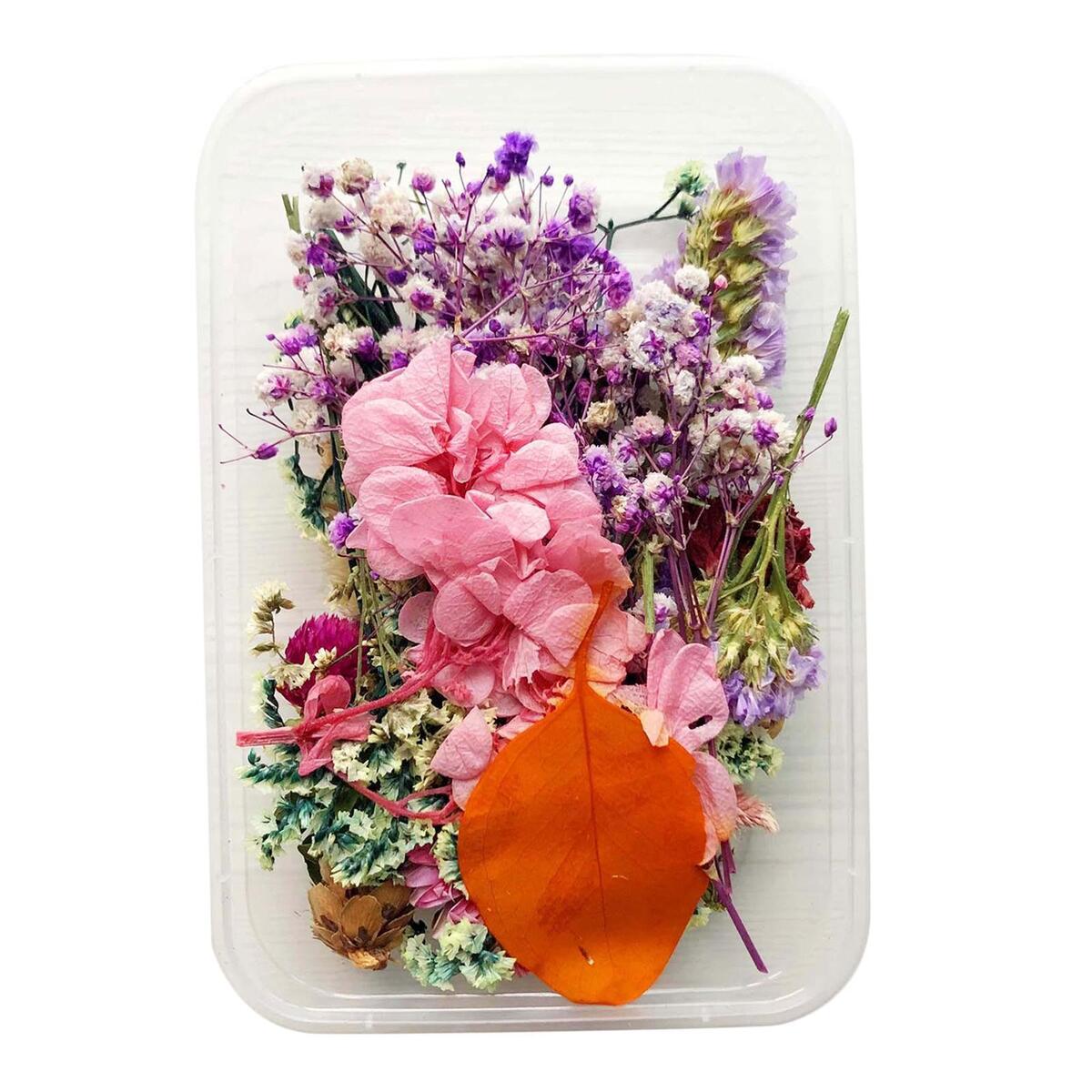 1 of box Dried Flowers Petals Leaves Crafts  Phone  Accessories