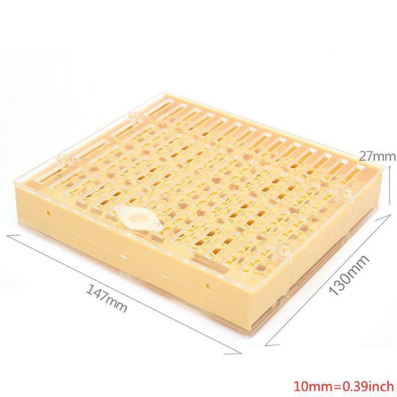 Complete Bee Queen Rearing Cup Kit System  Beekeeping Equipment Tools