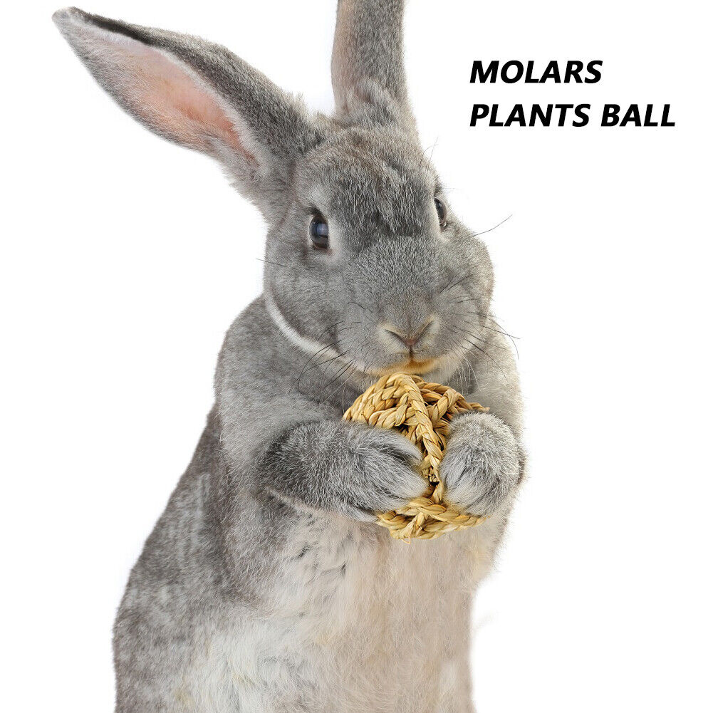 Hamster Rabbit Chewing Molar Grass Ball Small Animals Pet Tooth Clean Balls
