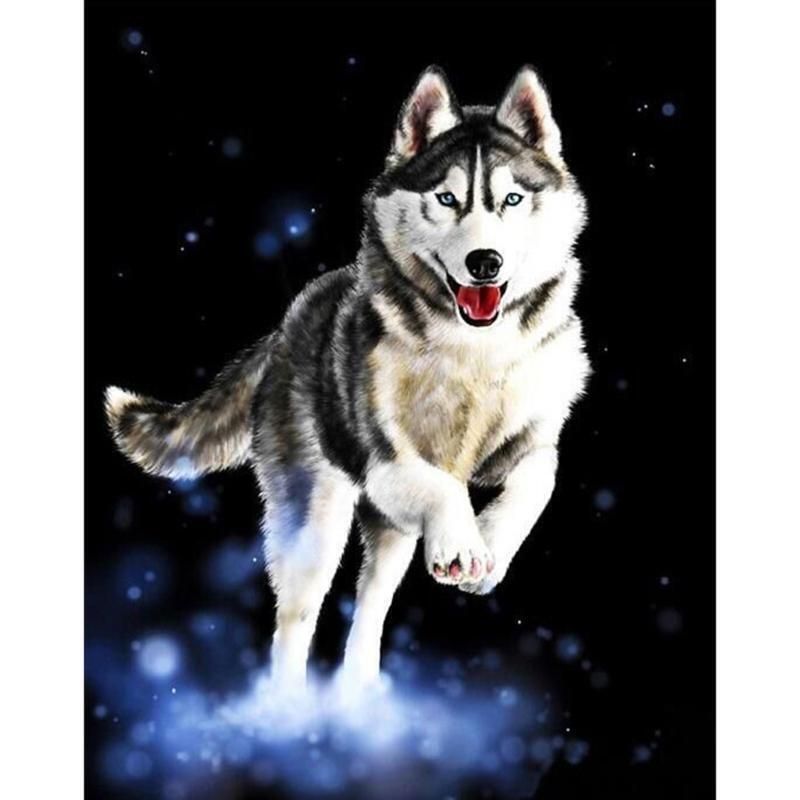 DIY Husky Oil Painting By Numbers Acrylic Drawing On Canvas Home Office Decor