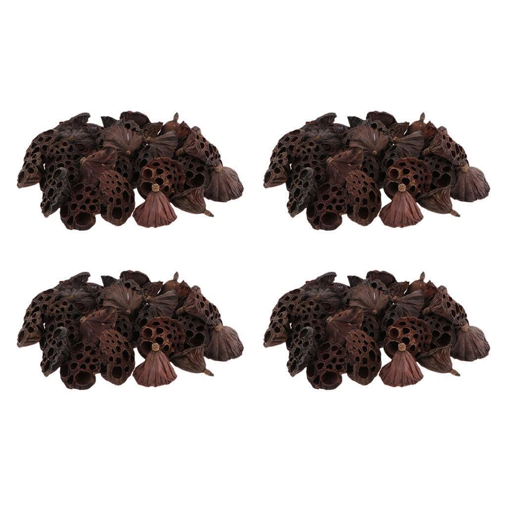 120pcs Natural Dried lotus pod Flowers Fruit for floral decor crafts DIY