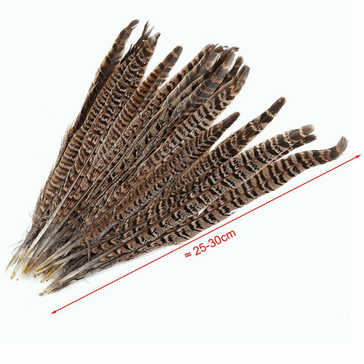 Wedding Home Craft Natural Pheasant Feathers Pheasant Tail Feathers Party