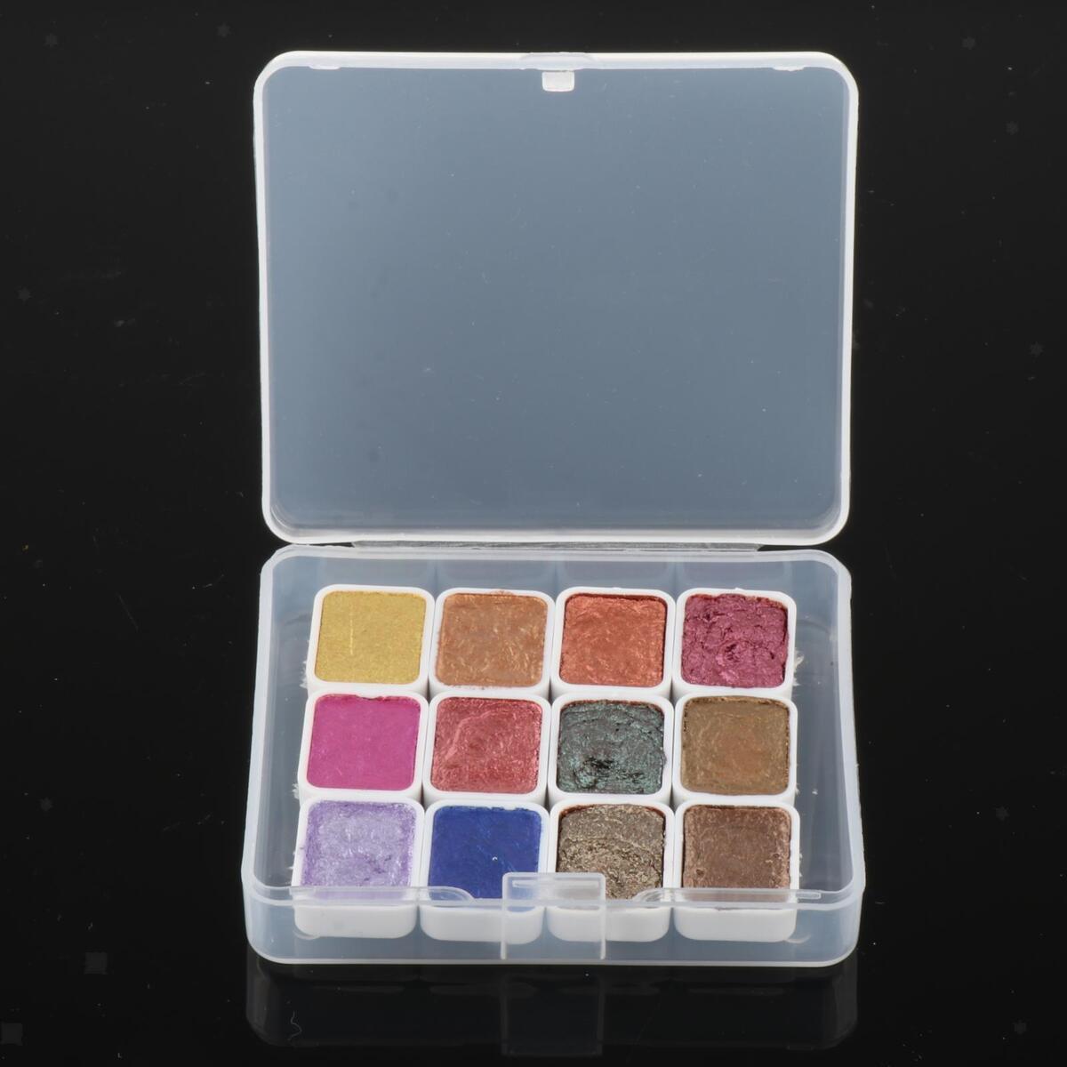 Nail Pigment Solid 12 Colors Pigment Powder Nail Art Powder for Beginners