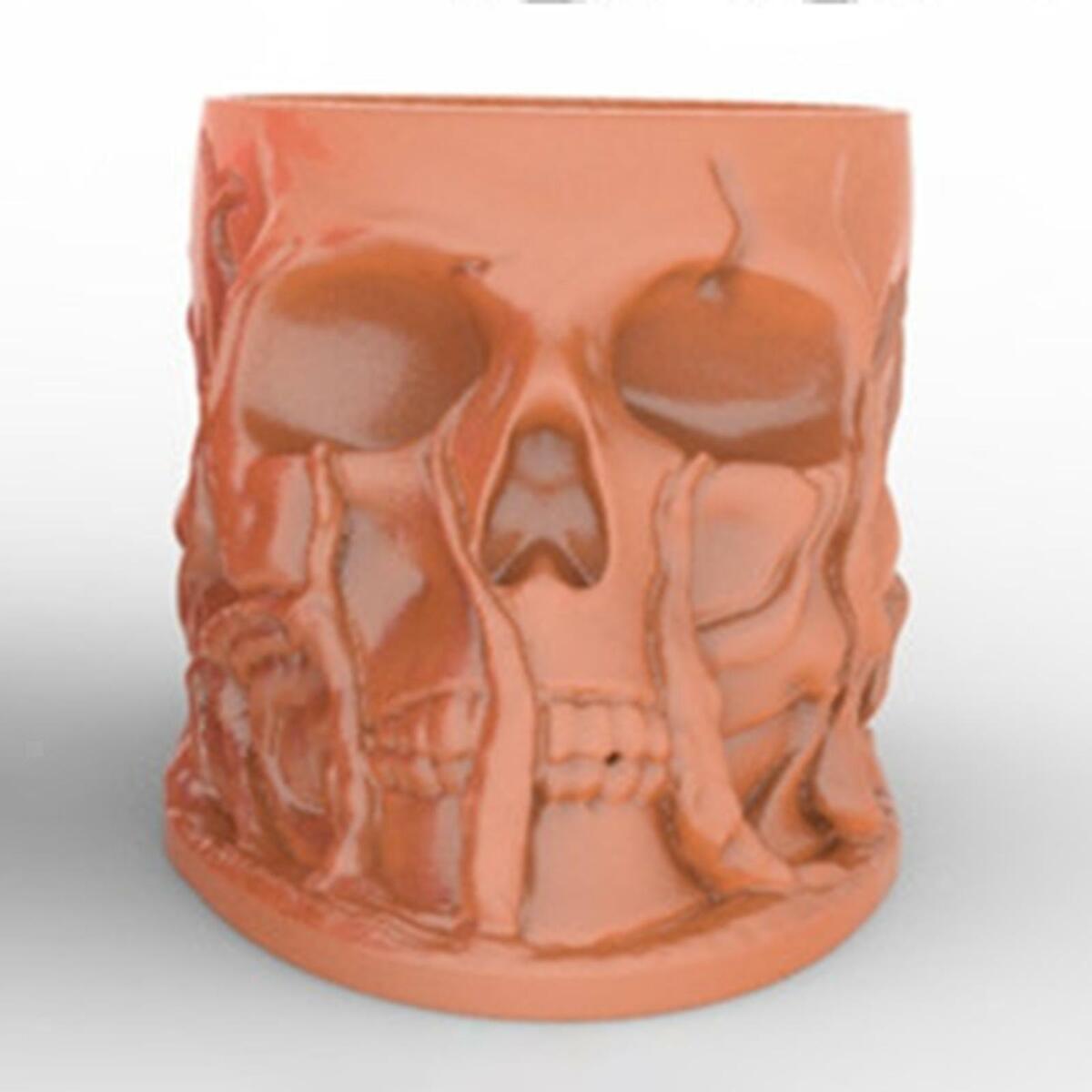 2Pcs Skeleton and Lion Head Shape Silicone Mold Succulent Planter Molds Soap