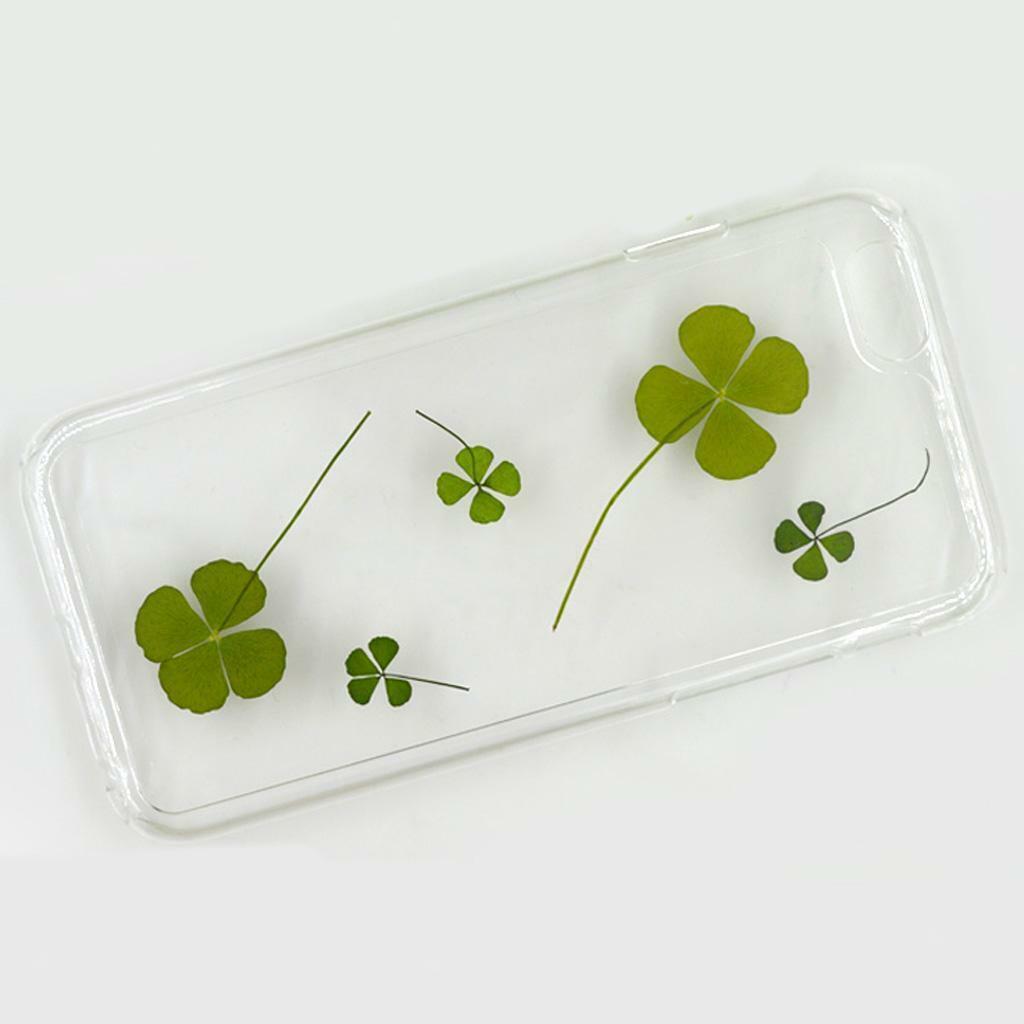 12x Natrual Dried Flowers Leaves Embellishments Crafts