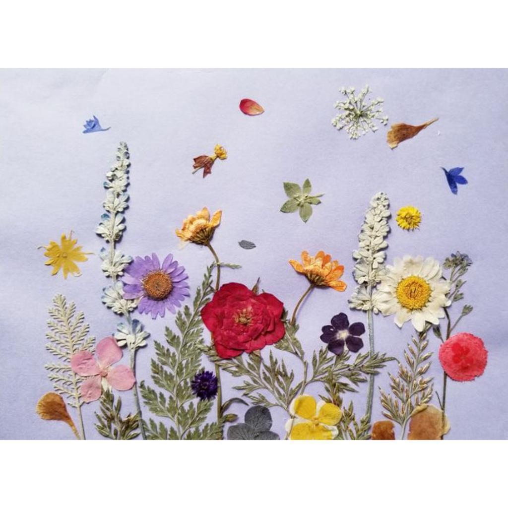 1  Pressed Dried Flowers Charms Paper Art Crafts  Decor