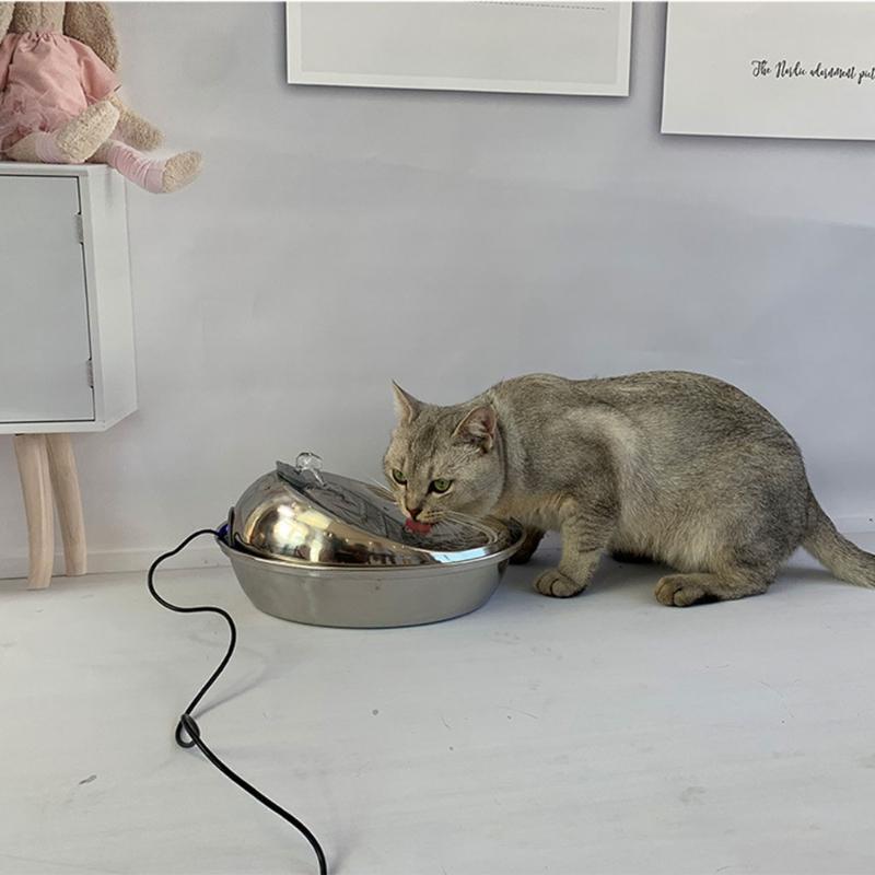 Pet Drinking Water Dispenser for Cats and Dogs Indoor with 2 Filter Replacement