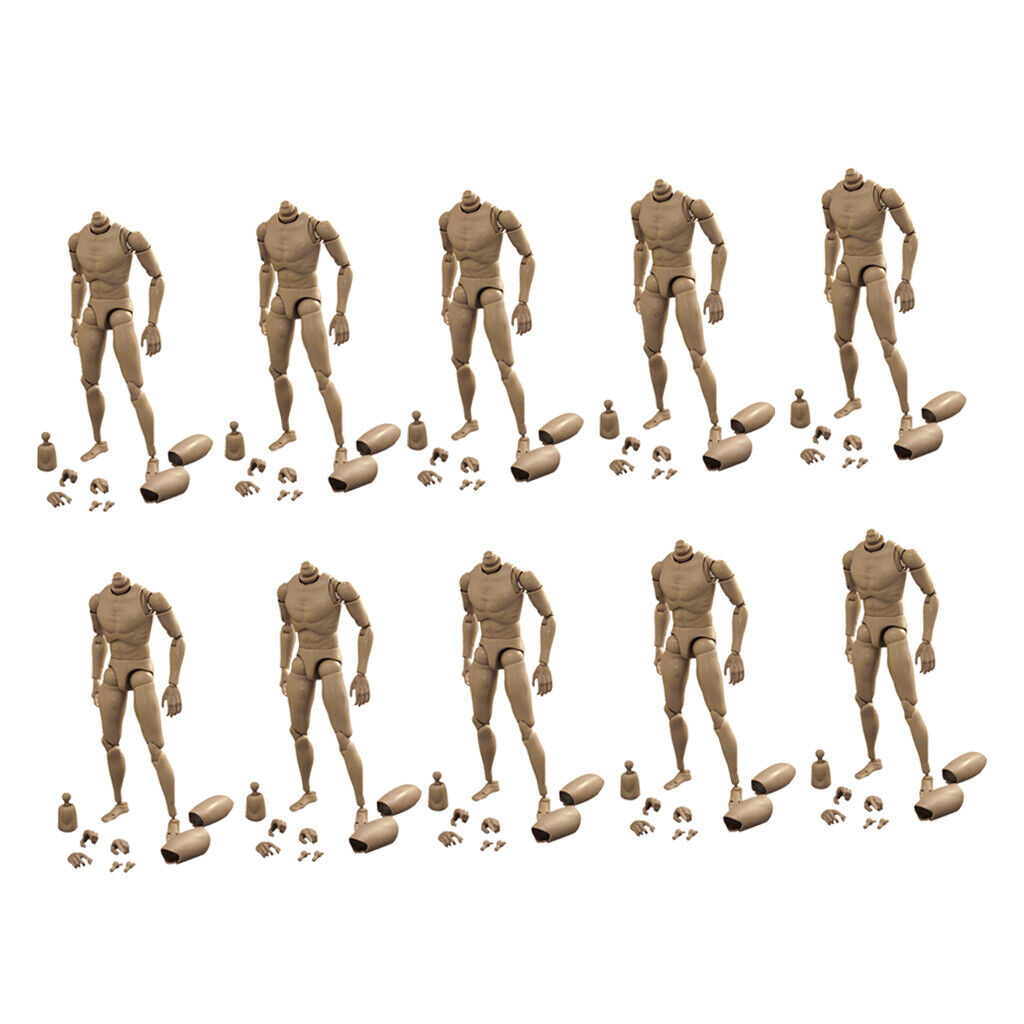 10Pcs 1/6 Scale Hot  Body Sketch Skeleton for Dragon DML BBI DID