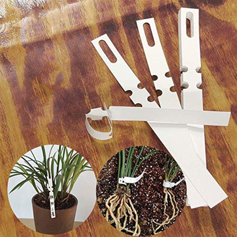 100 Pcs White Plastic Plant Tree Tags Nursery Garden Lables 2x20cm Wrap Around