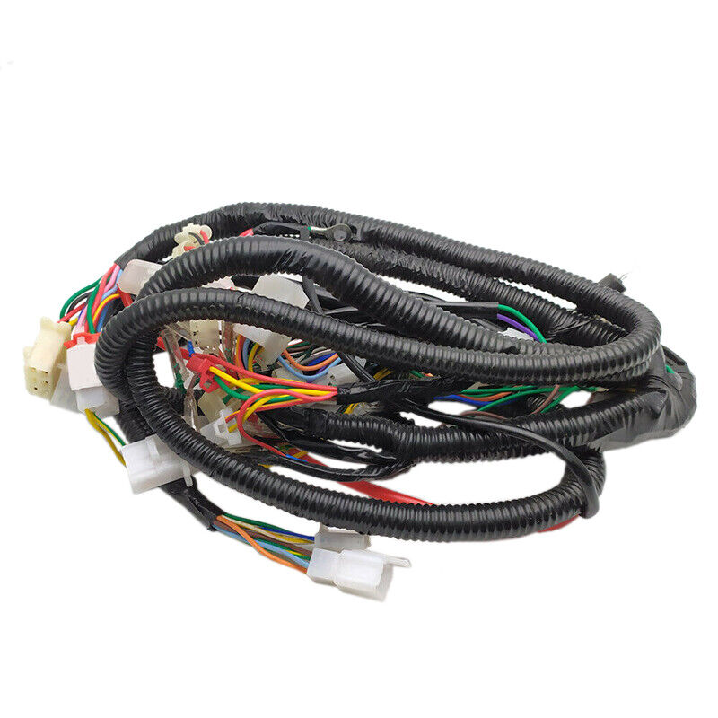 Wire Harness Assembly 8 Pole Magneto Fit For Chinese GY6 150cc Scooter Moped Hot