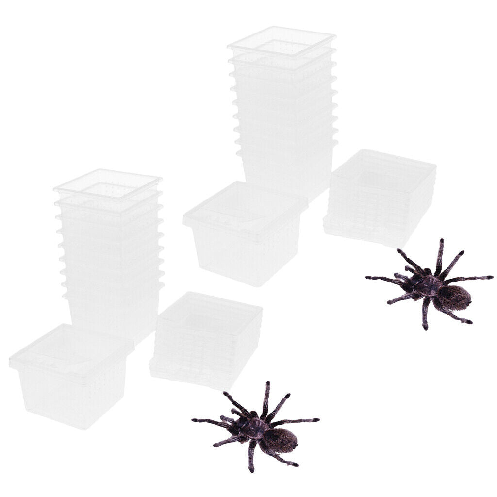 20 Pcs Insect Reptile Spider Terrariums Breeding Box Hatching Container