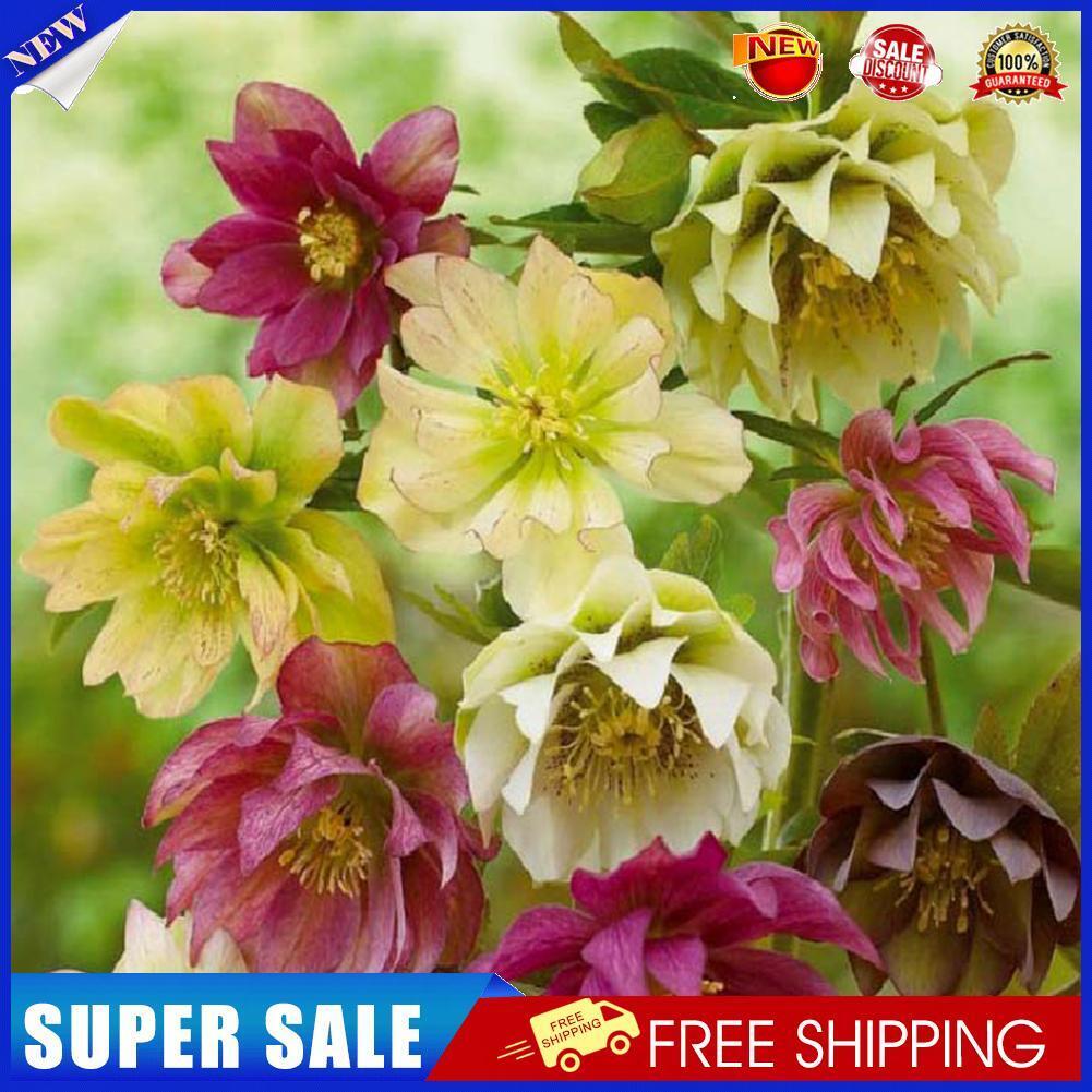 5D Full Round Drill Diamond Painting diy Flowers Needlework Decor (C1266)