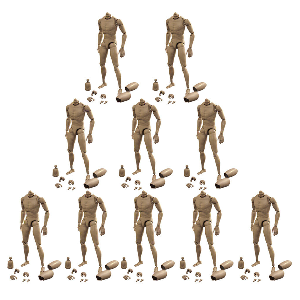 10Pcs 1/6 Scale Hot  Body Sketch Skeleton for Dragon DML BBI DID
