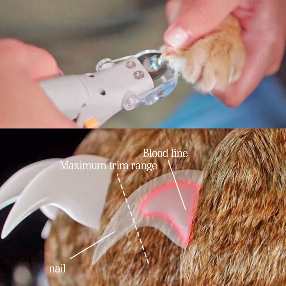 Pet Nail Clipper Dog Cat Nail Toe Claw Scissor Nail Trimmer with LED Light
