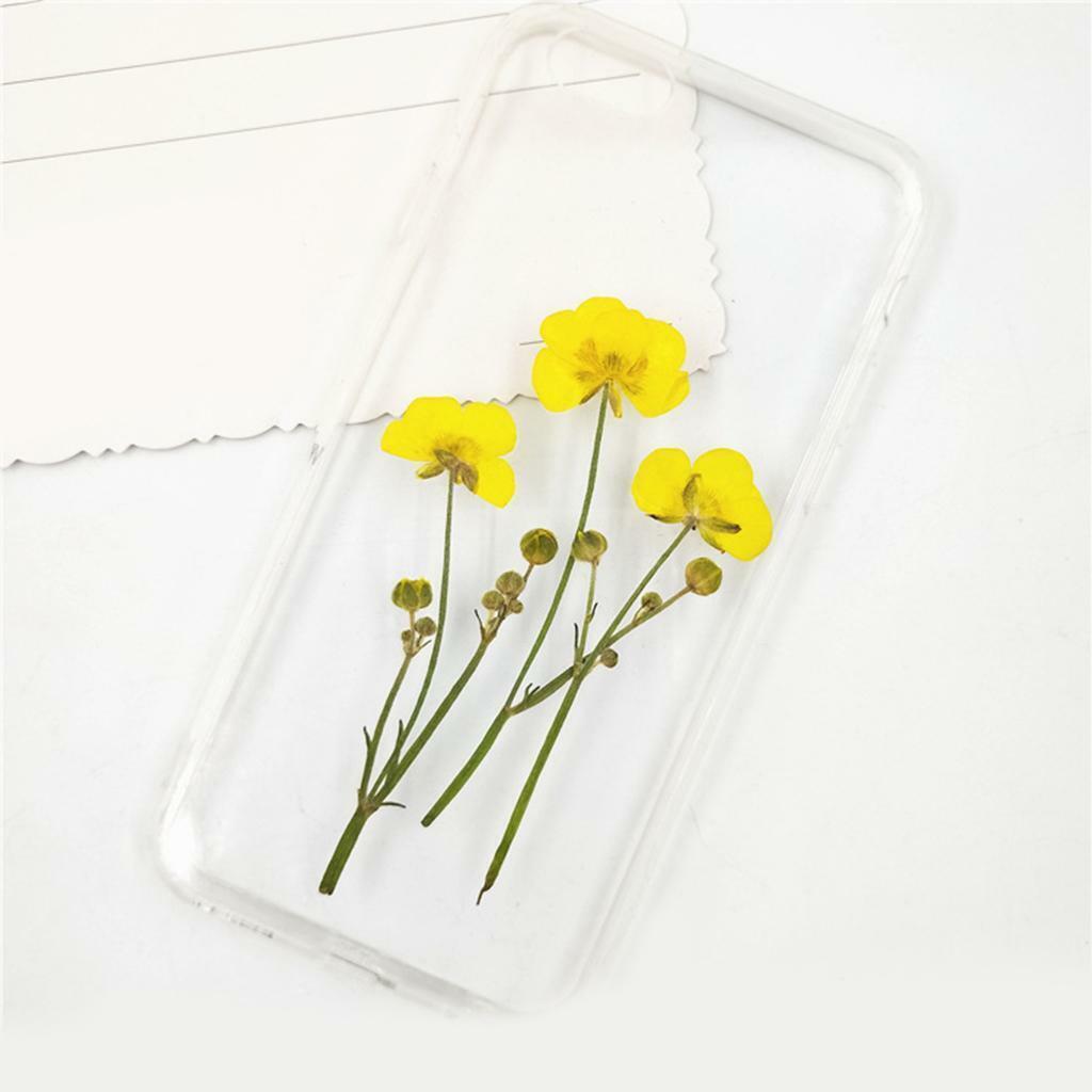 16x Natrual Dried Flowers Leaves  Art Jewelry  Phone